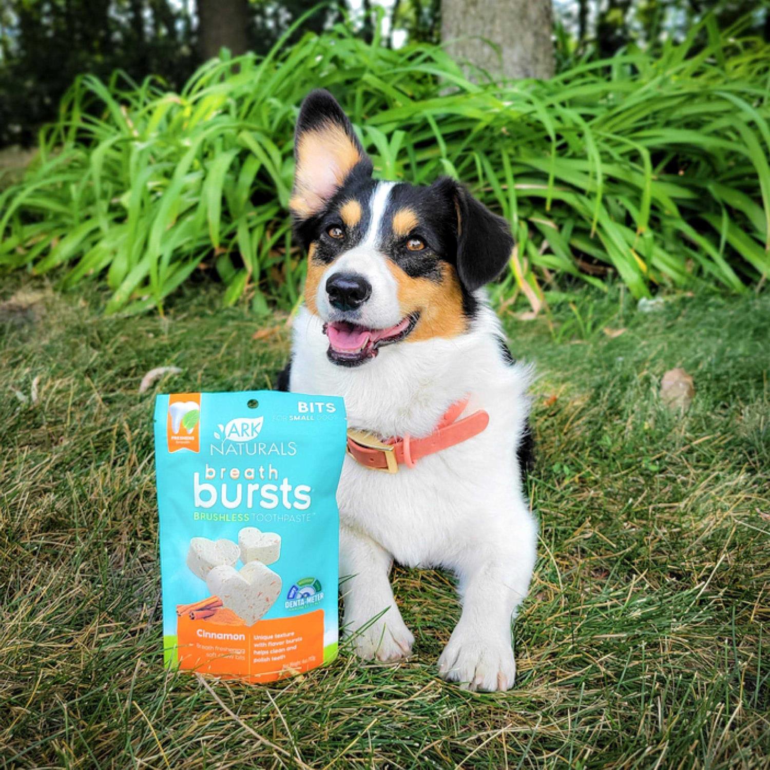 Alternative view of Ark Naturals Breath Bursts Bits Dental Dog Treats