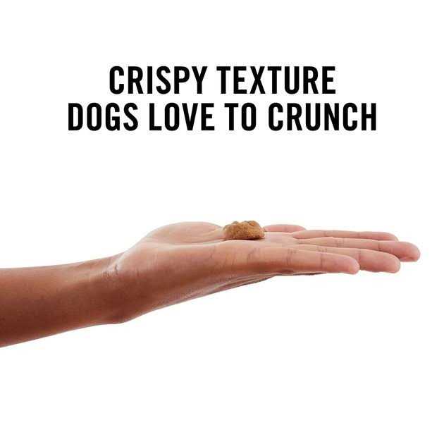 Alternative view of American Journey Peanut Butter Recipe Grain-Free Oven Baked Crunchy Biscuit Dog Treats