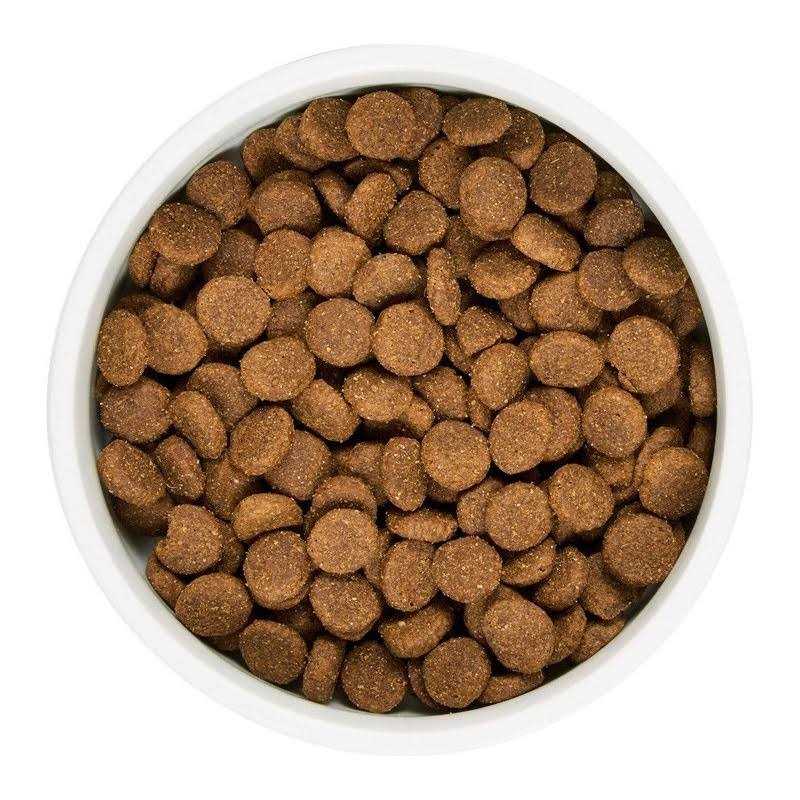 Alternative view of WholeHearted Grain Free All Life Stages Lamb and Lentil Formula Dry Dog Food