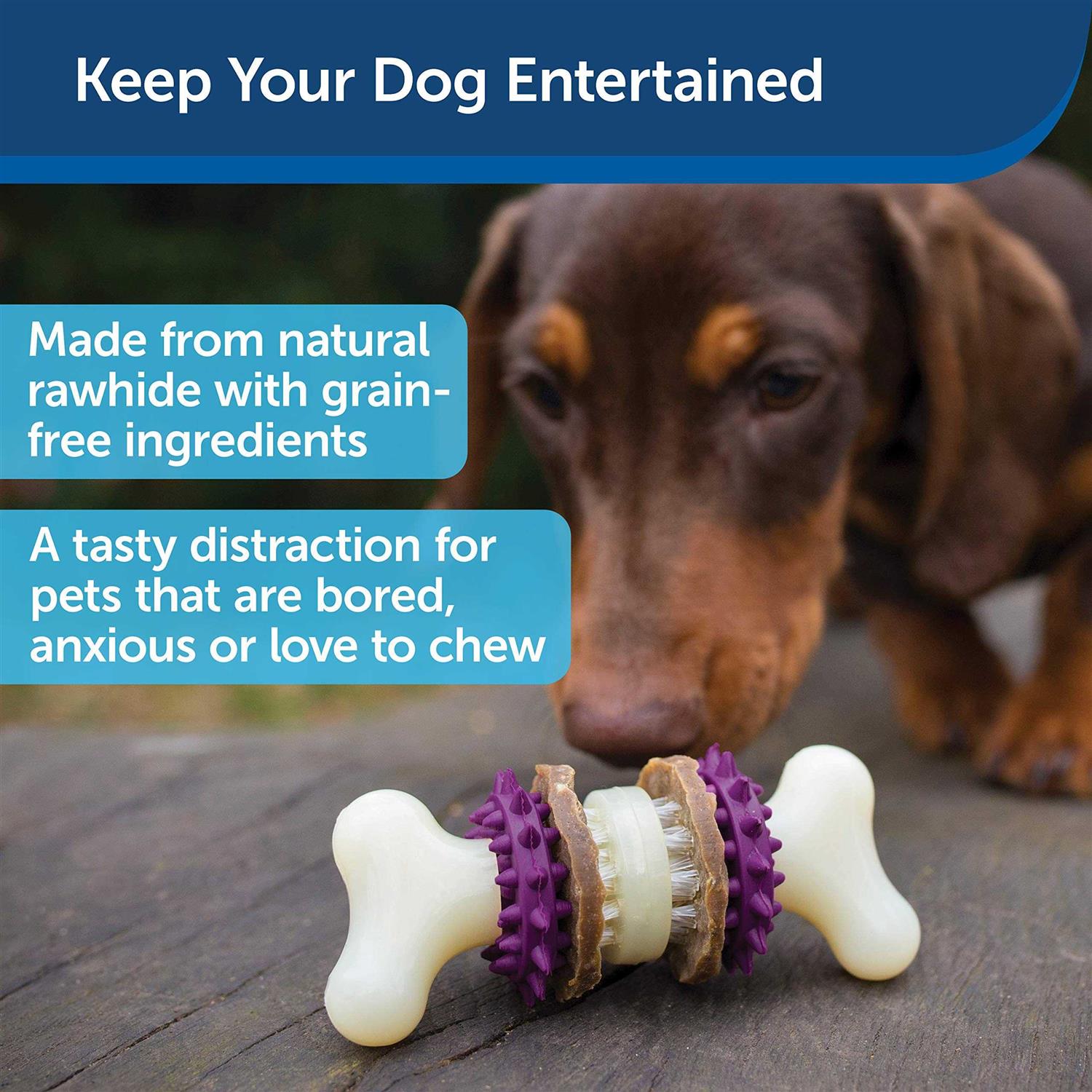 Alternative view of Busy Buddy Bristle Bone