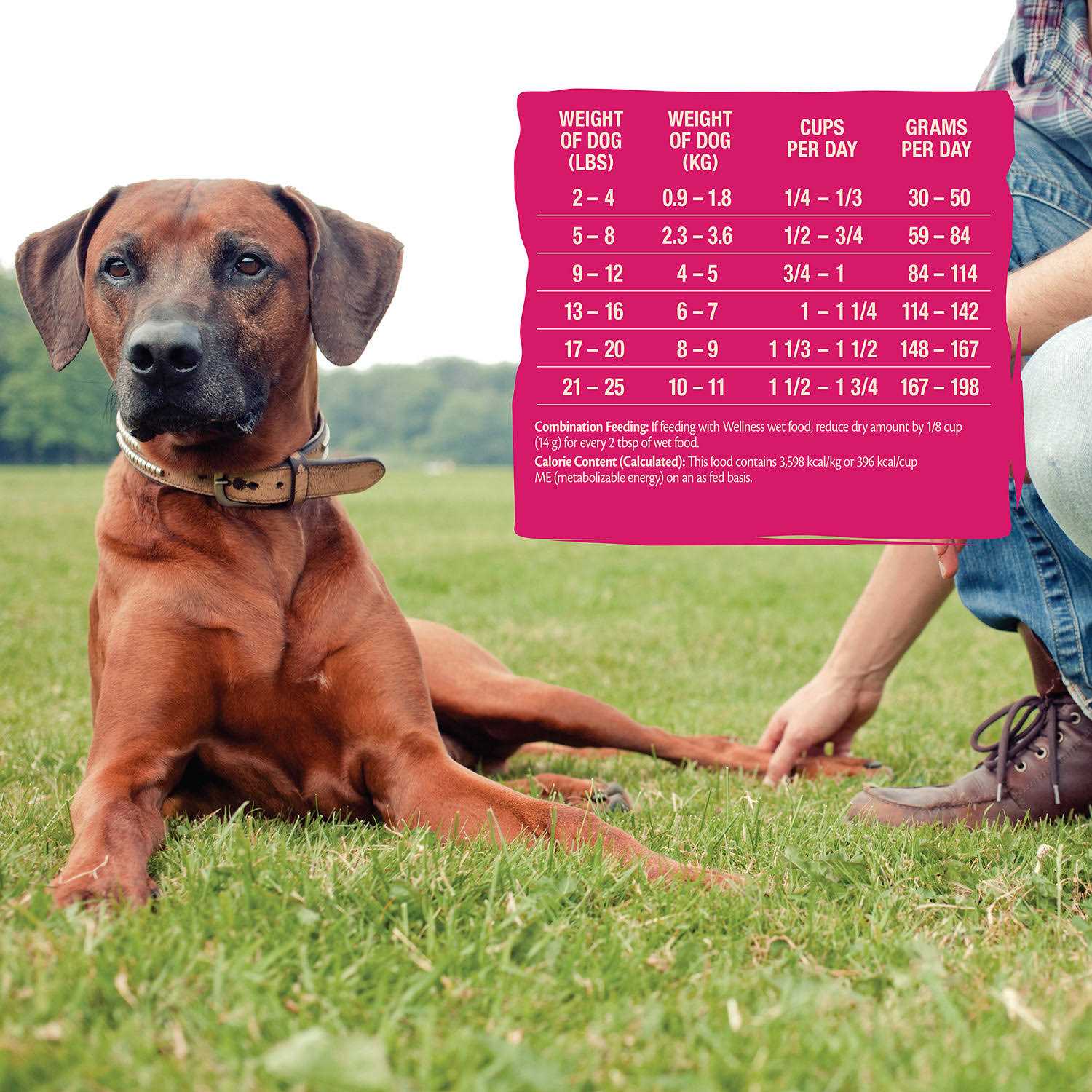 Alternative view of Wellness CORE Grain-Free Small Breed Dry Dog Food