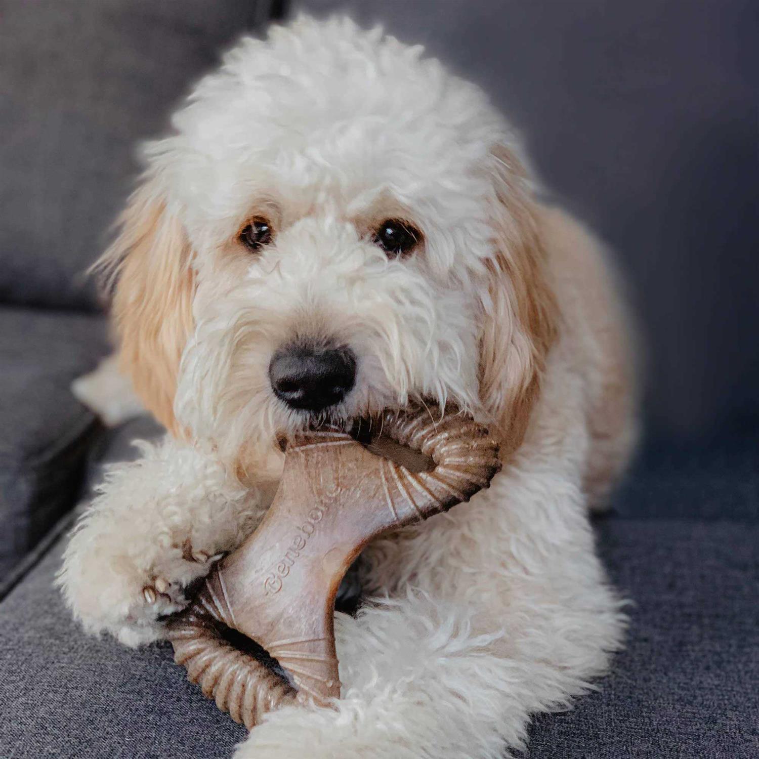 Alternative view of Benebone Dental Chew/Wishbone Bacon Dog Toy