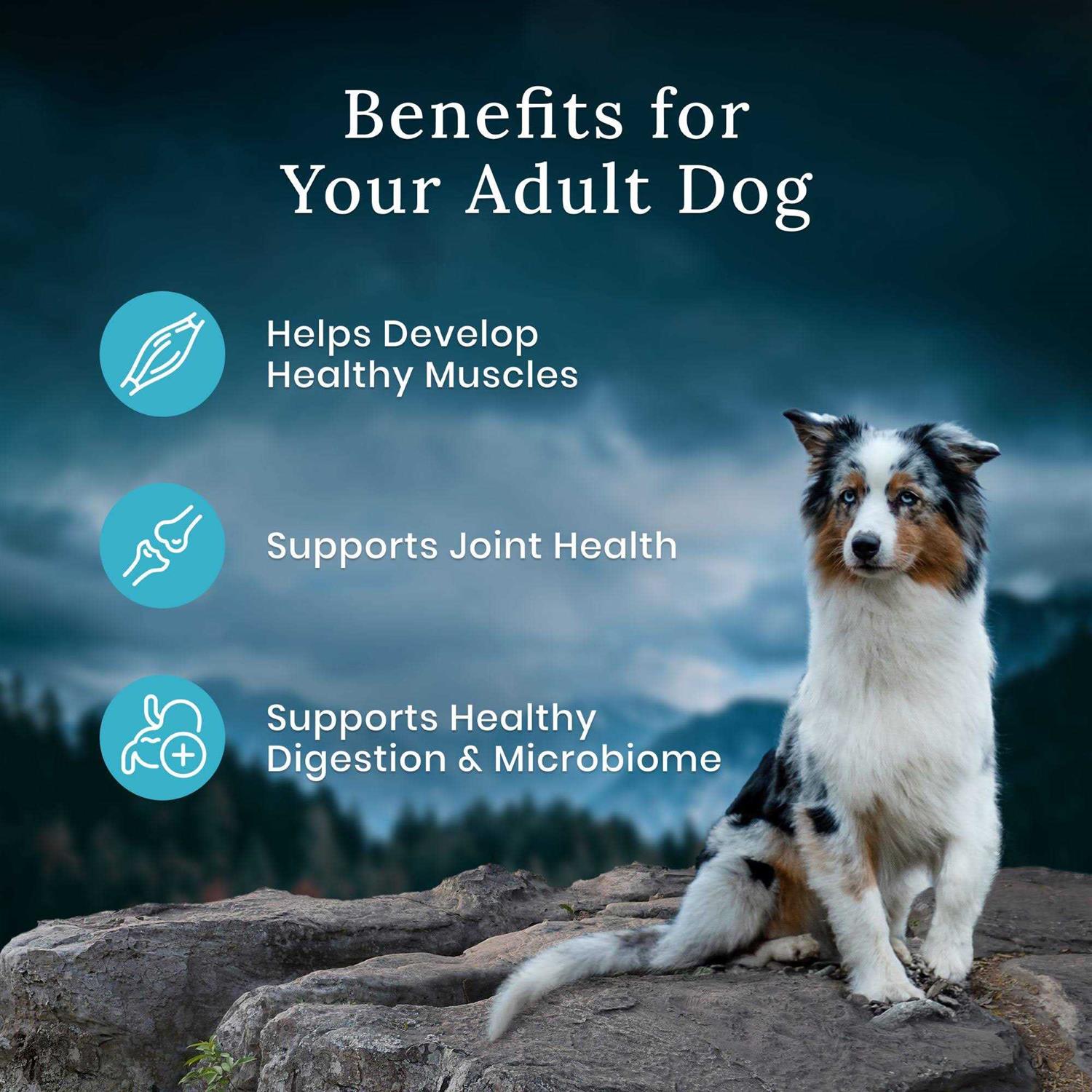 Alternative view of Blue Buffalo Wilderness Chicken Dry Premier Blend Adult Dog Food