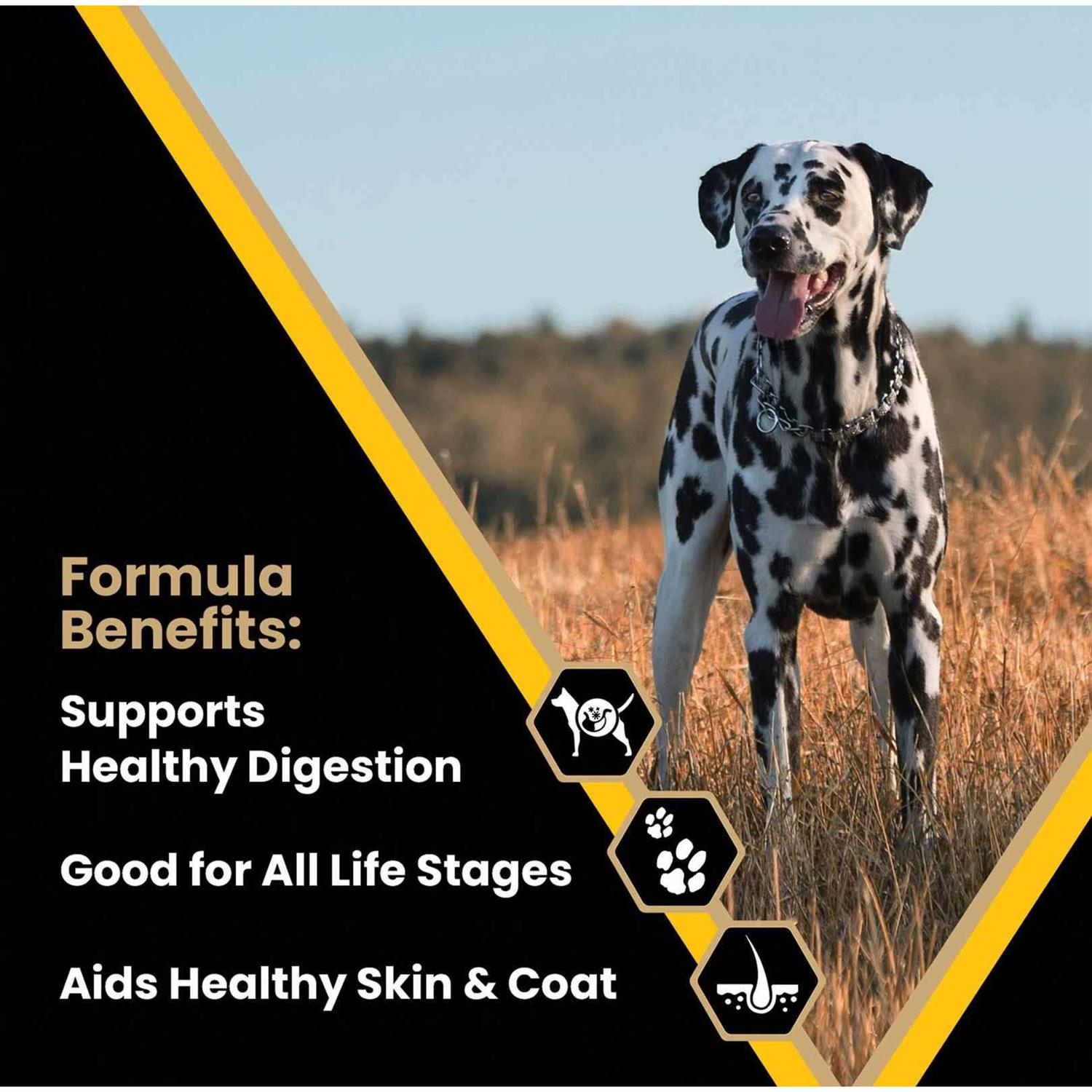 Alternative view of Victor Multi-Pro Dog Food