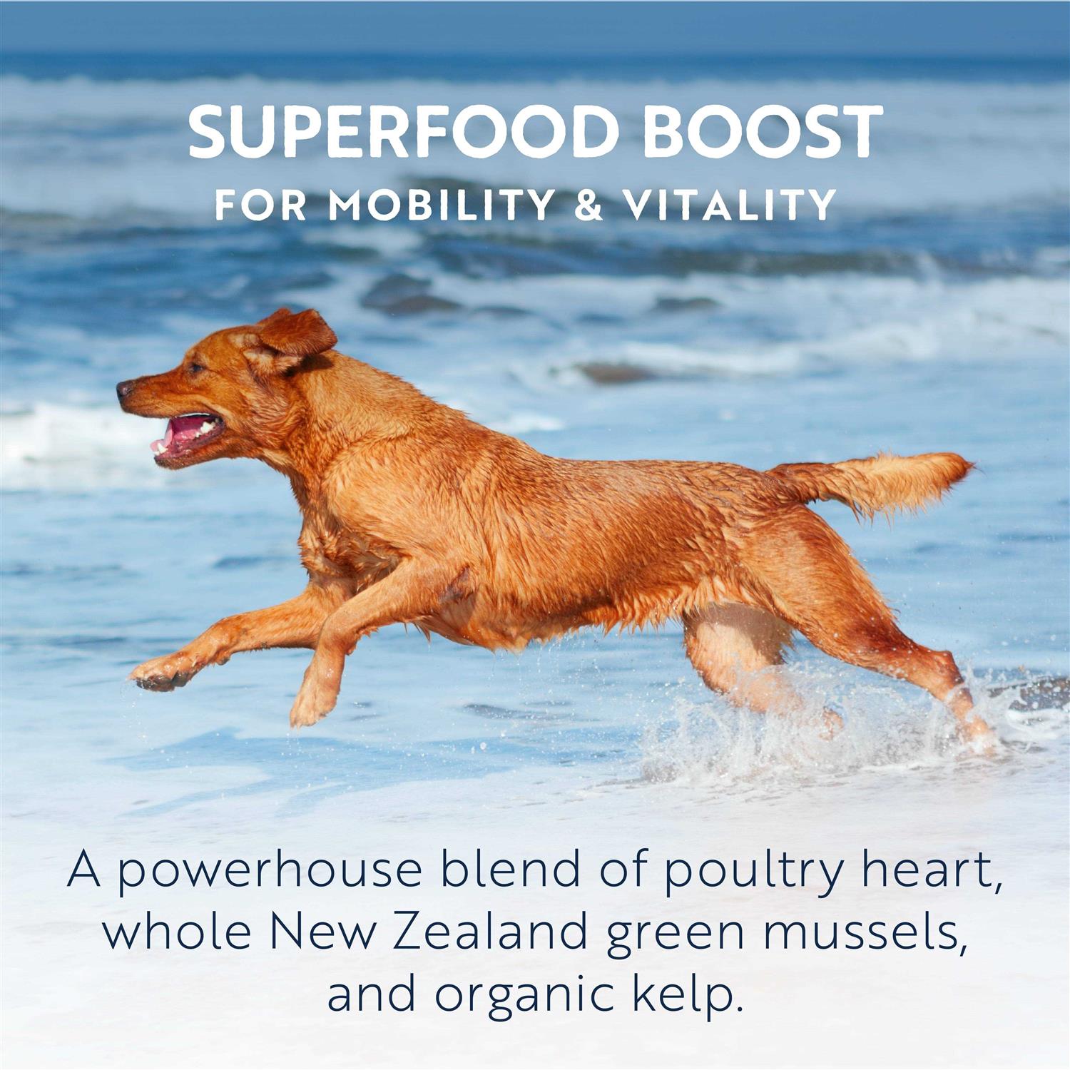 Alternative view of Ziwi Peak Air Dried Chicken Dog Food