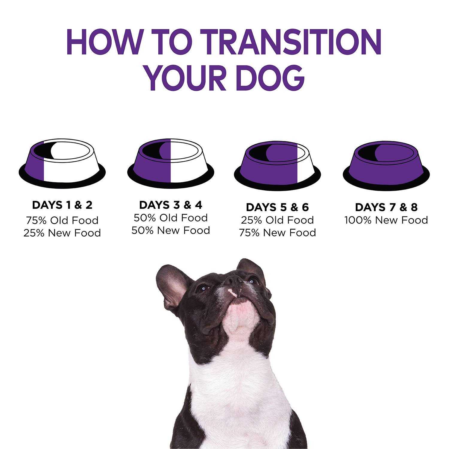 Alternative view of Wellness Complete Health Chicken Senior Dry Dog Food