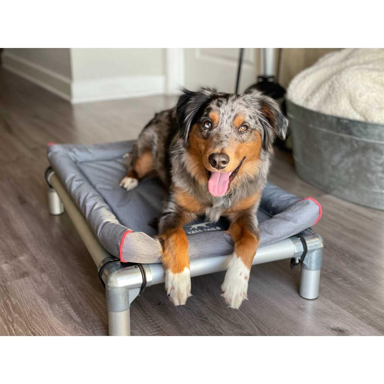 Alternative view of Tall Tails Dream Chaser Crate Dog Bed