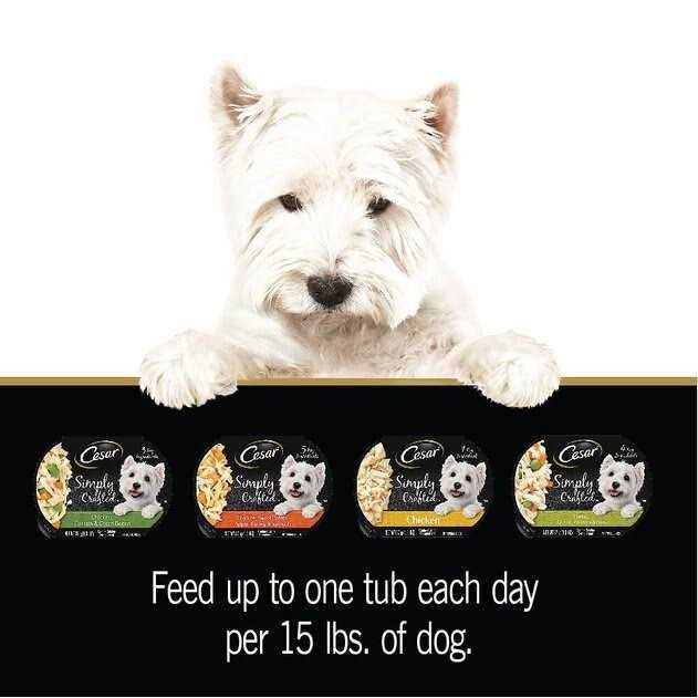 Alternative view of Cesar Wholesome Bowls Wet Dog Food