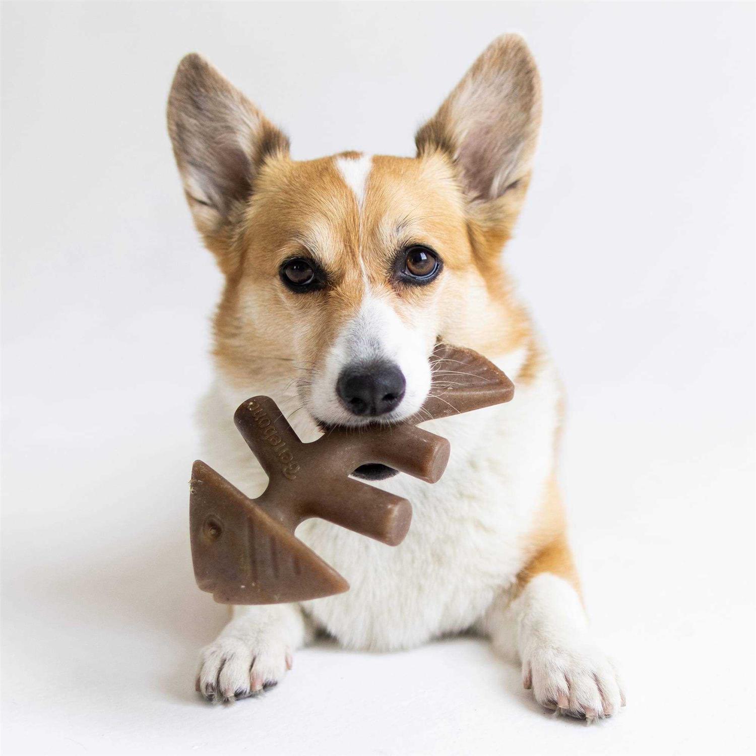 Alternative view of Benebone Fishbone Dog Chew