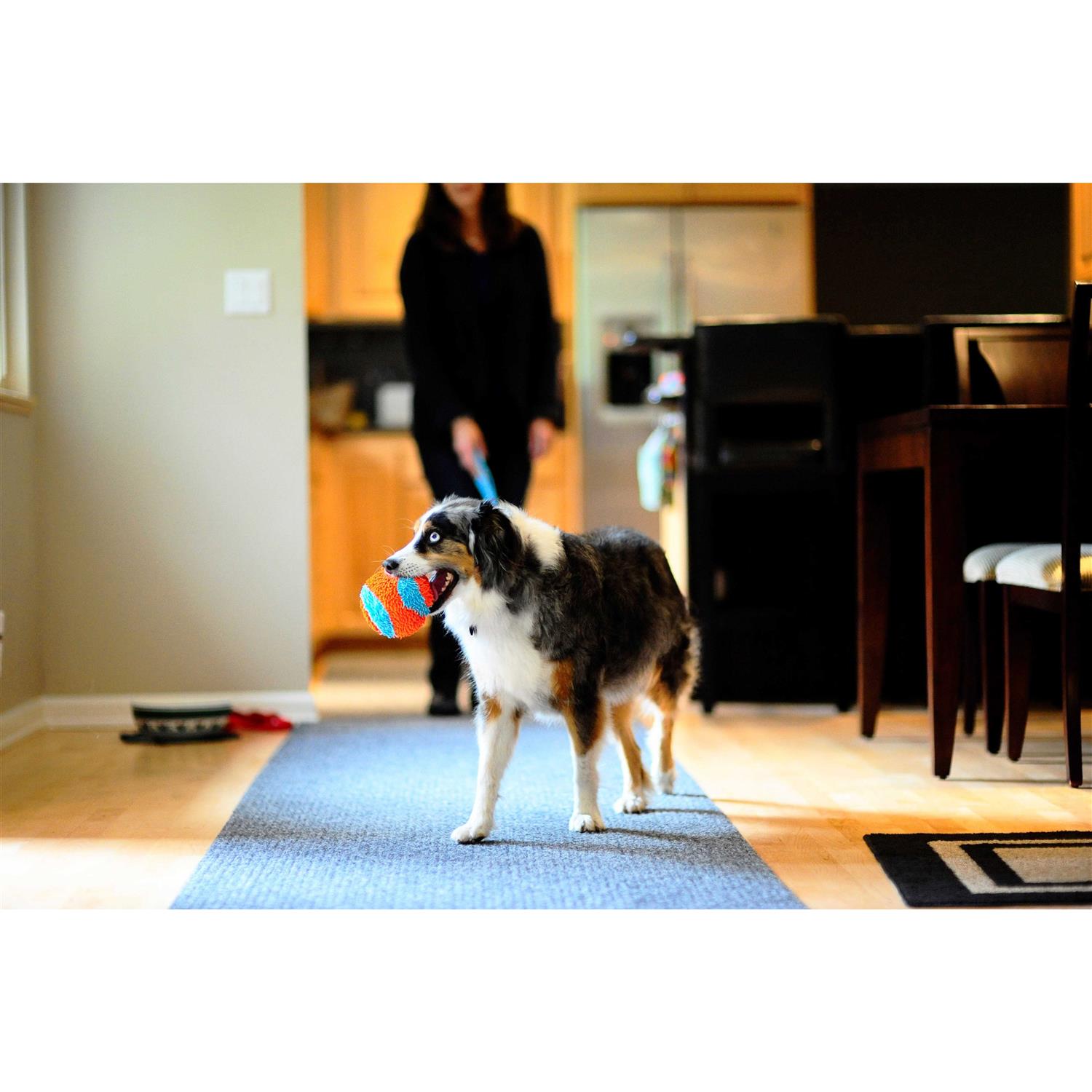Alternative view of Chuckit 213201 Indoor Ball Dog Toy