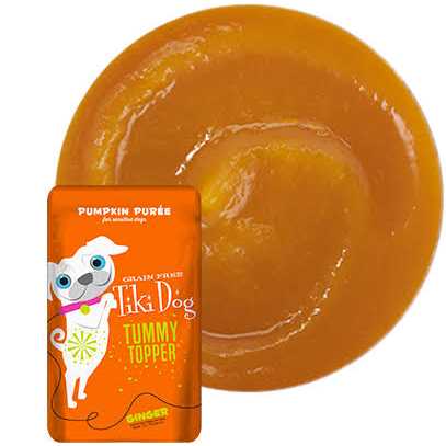 Alternative view of Tiki Dog Tummy Topper Pumpkin Ginger