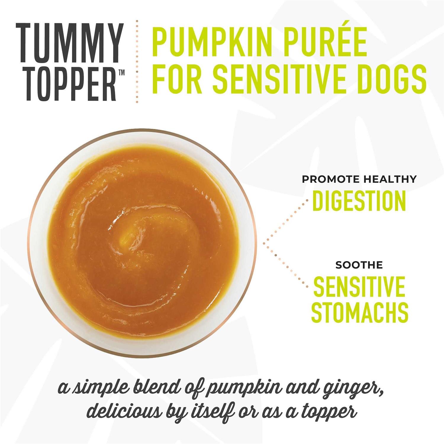 Alternative view of Tiki Dog Tummy Topper Pumpkin Ginger