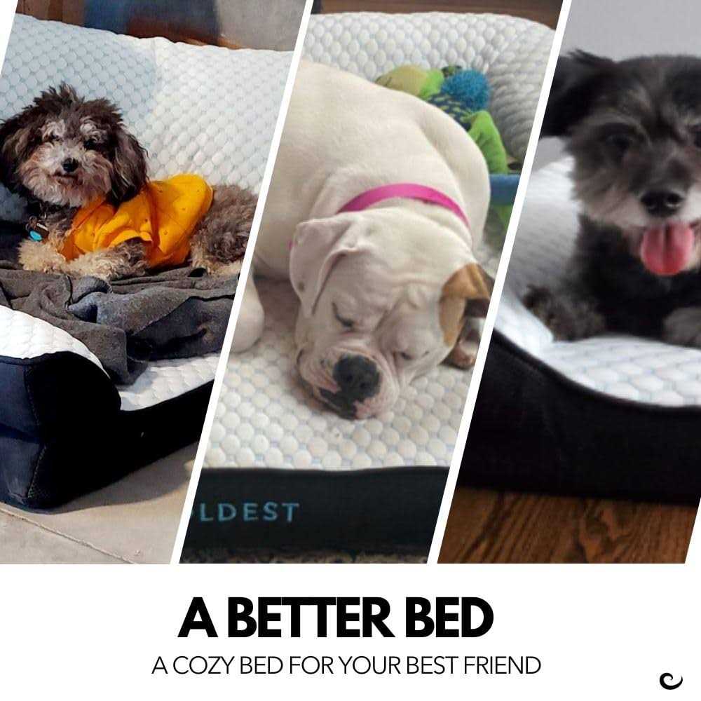 Alternative view of Coldest Cozy Dog Bed Cooling Medium Dog Beds