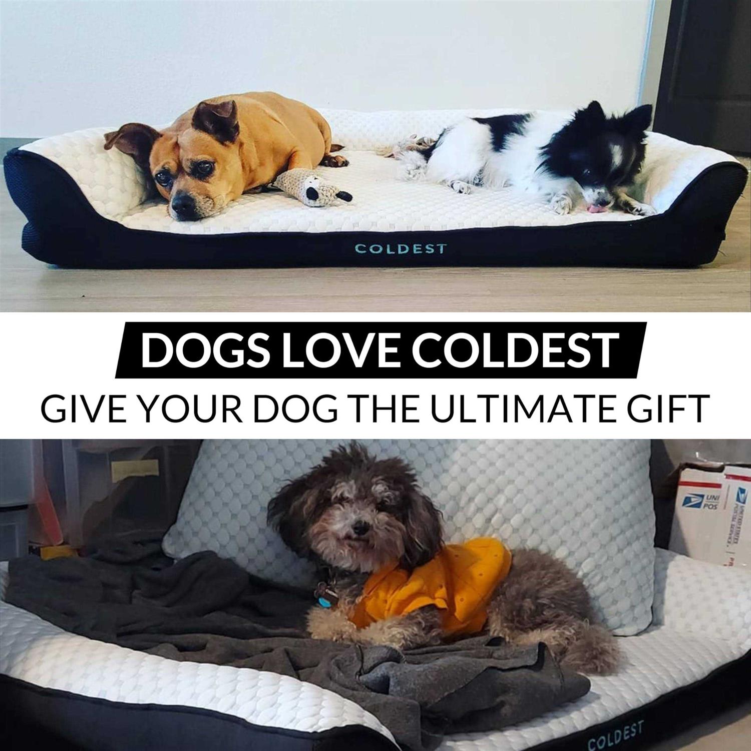 Alternative view of Coldest Cozy Dog Bed Cooling Medium Dog Beds