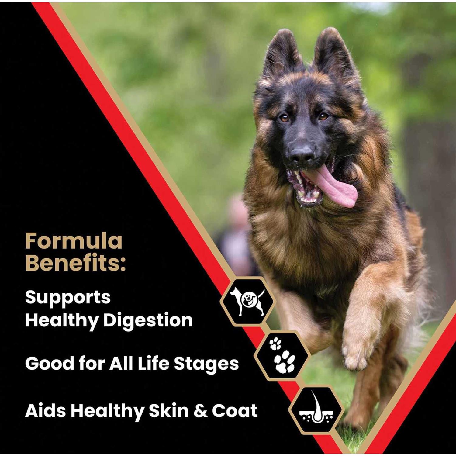 Alternative view of Victor High Energy Dry Dog Food