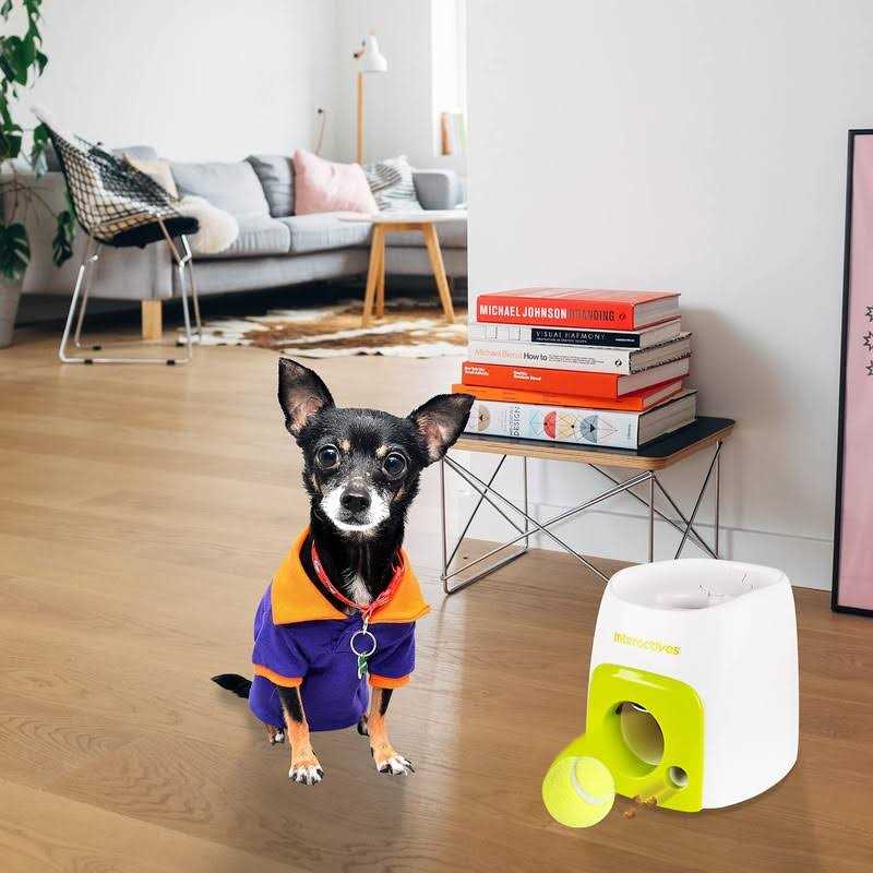 Alternative view of All for Paws Interactive Fetch-N-Treat Dog Toy