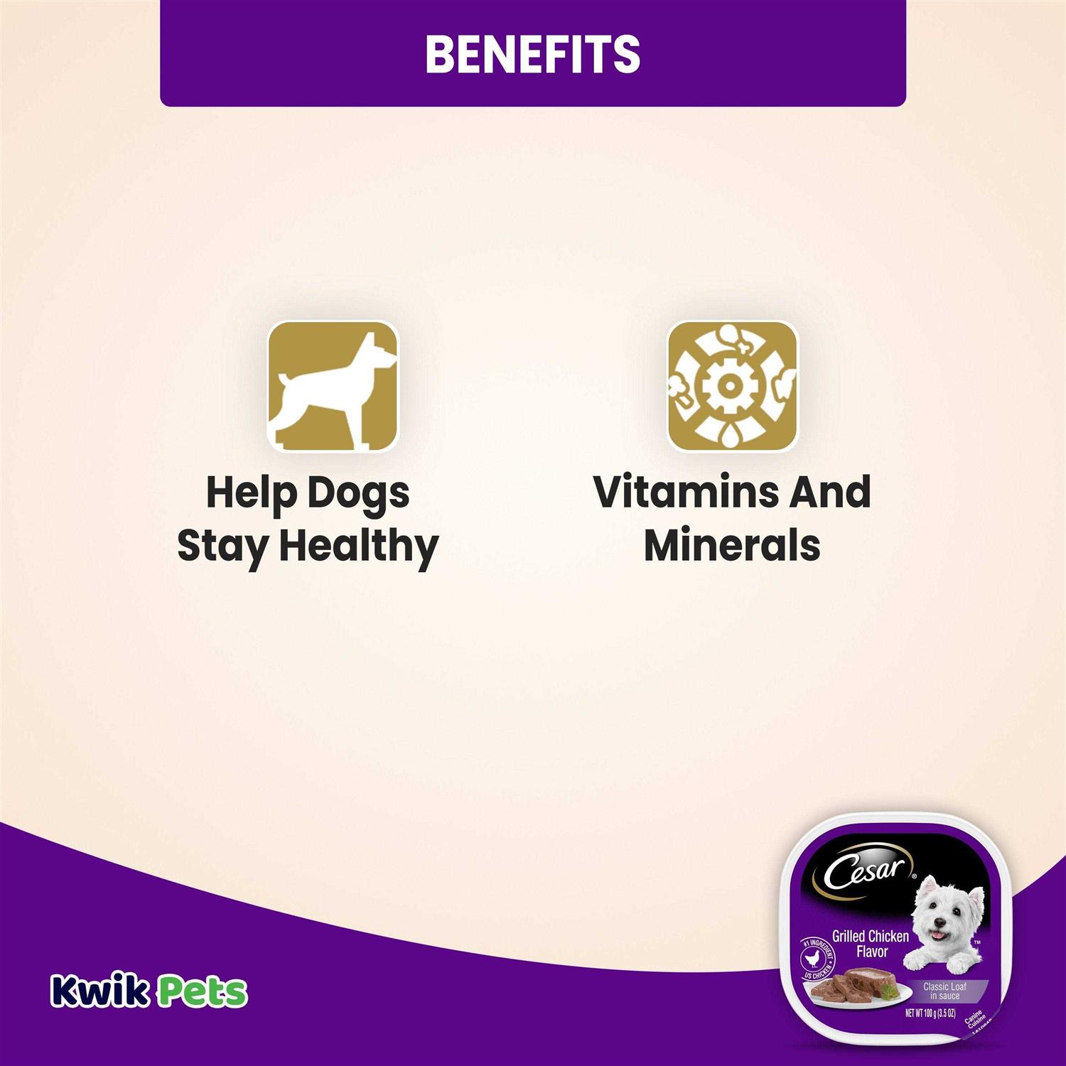 Alternative view of Cesar Grilled Dog Food