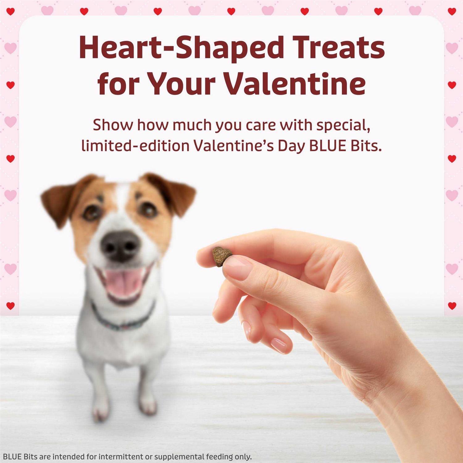 Alternative view of Blue Buffalo Valentine Blue Bits Chicken Recipe Natural SoftMoist Training Dog Treats