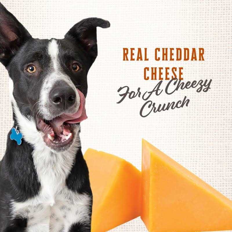 Alternative view of Wholesomes Gourmet Rewards Cheezy Bites Dog Treats