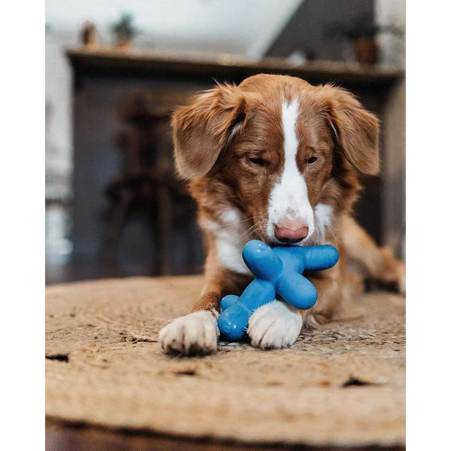 Alternative view of Charming Pet Latex Balloon Dog Toy