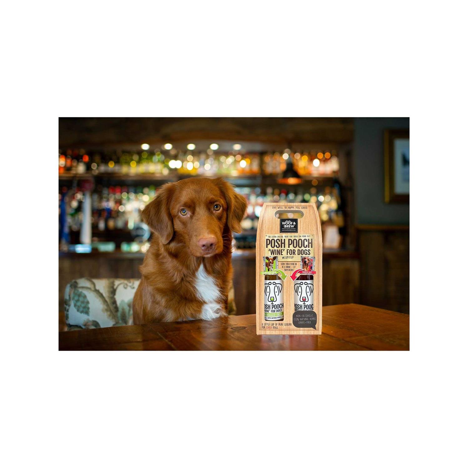 Alternative view of American Pet Supplies Posh Pooch Dog Wine Duo Pack