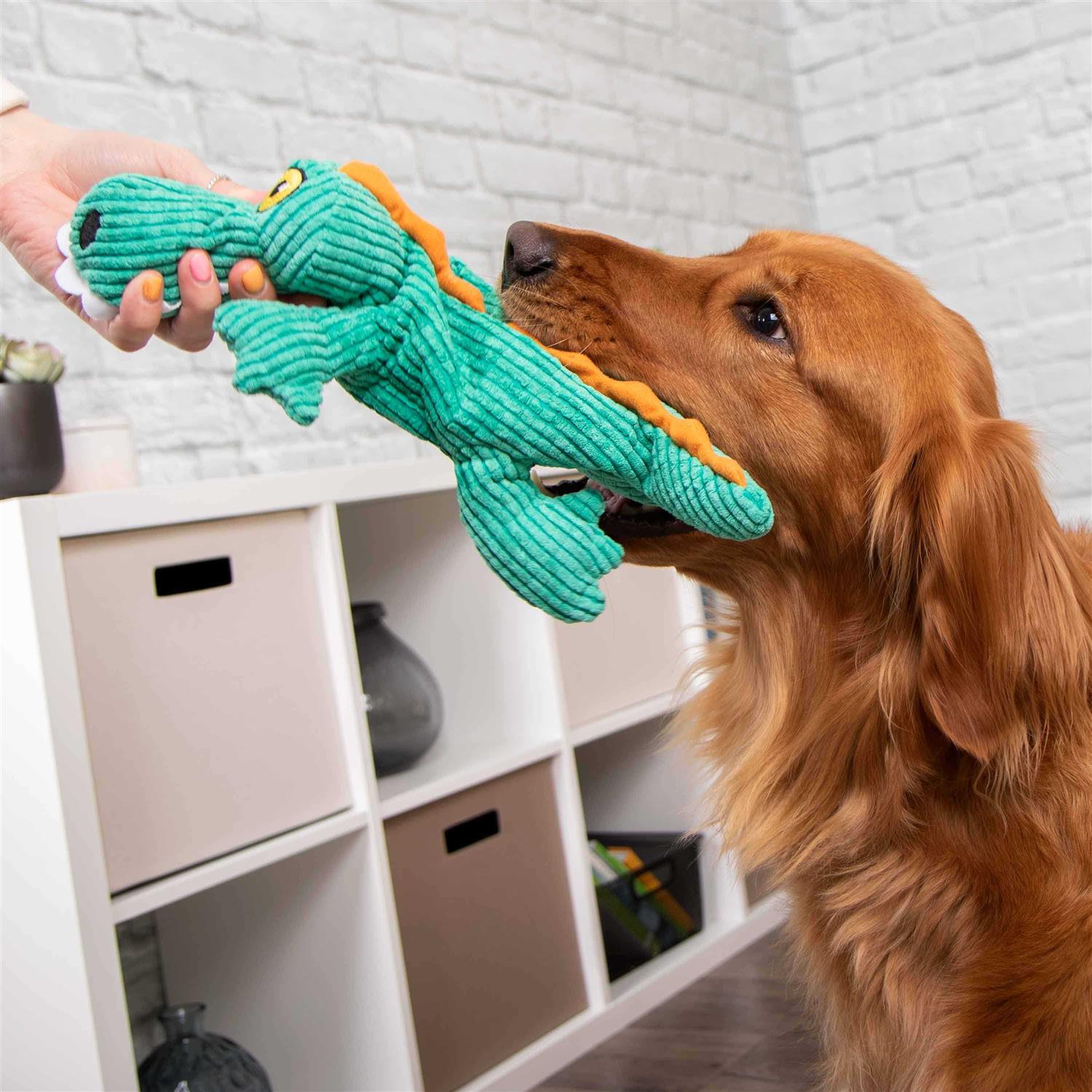 TrustyPup Plush Gator Dog Toy