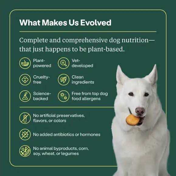 Alternative view of Wild Earth Veggie Chick'n Kabob Flavor Performance Formula Dry Dog Food
