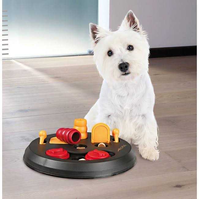 Trixie Flip Board Dog Game