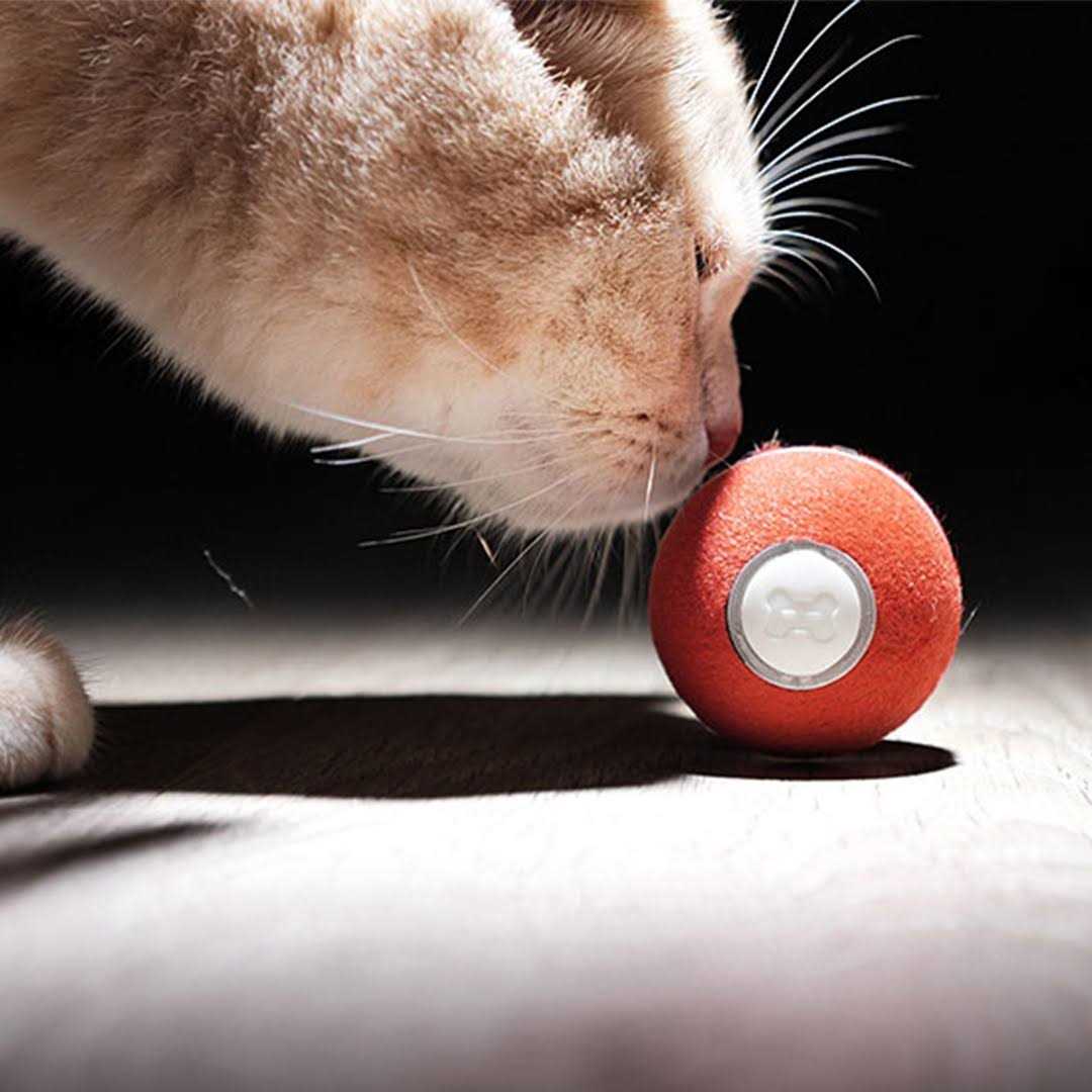 Alternative view of Cheerble Ball Smart interactive Cat Toy 1.7 Inch