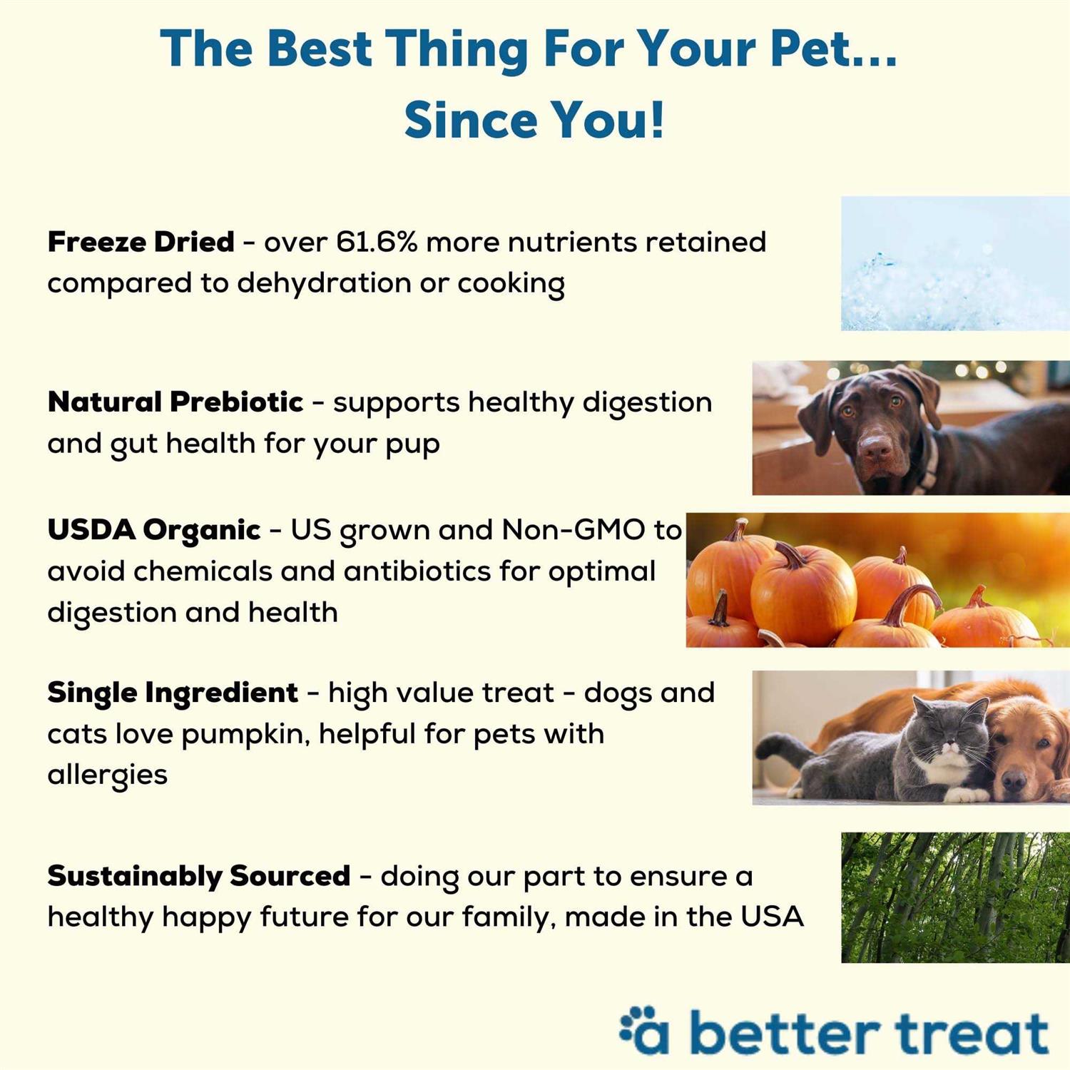 Alternative view of A Better Treat Pumpkin Organic Freeze-Dried Dog & Cat Treats