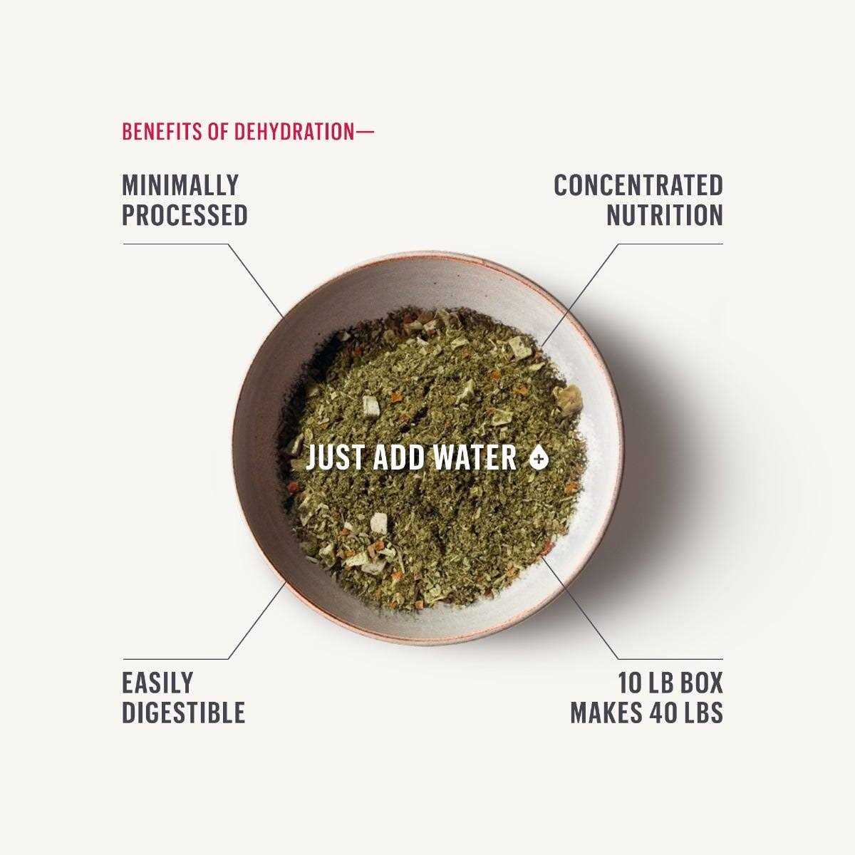 Alternative view of The Honest Kitchen Dehydrated Limited Ingredient Chicken Dog Food