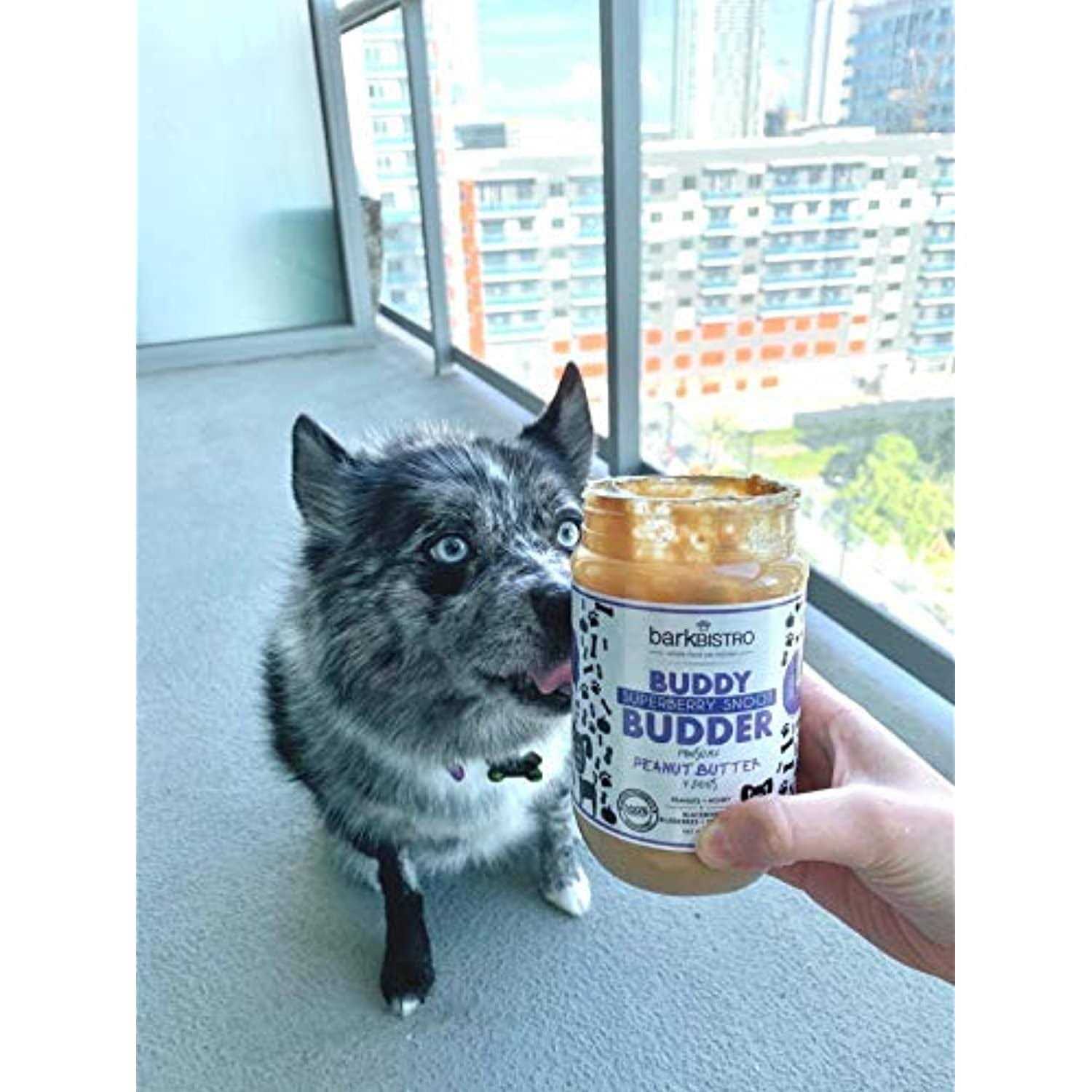 Alternative view of Bark Bistro Superberry Snoot Buddy Budder