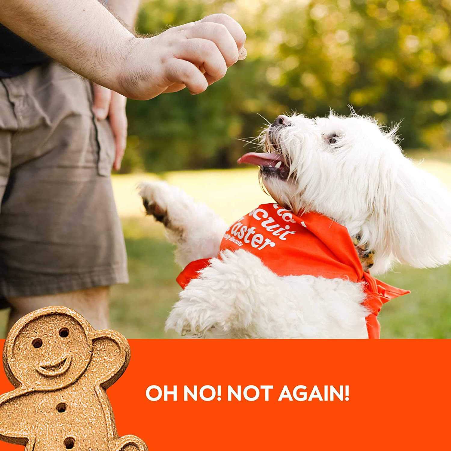 Alternative view of Buddy Biscuits Peanut Butter Soft and Chewy Dog Treats