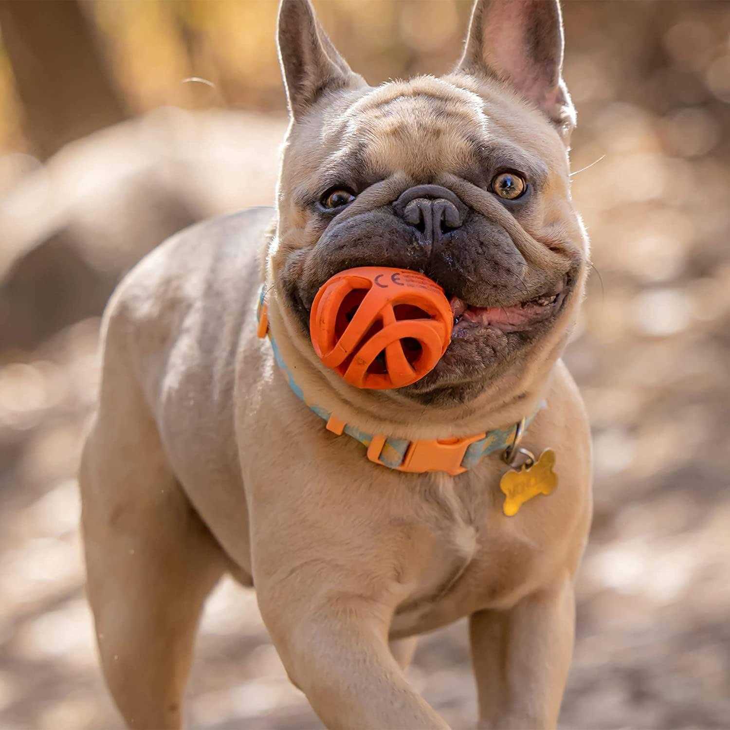 Alternative view of Chuckit! Breathe Right Fetch Ball