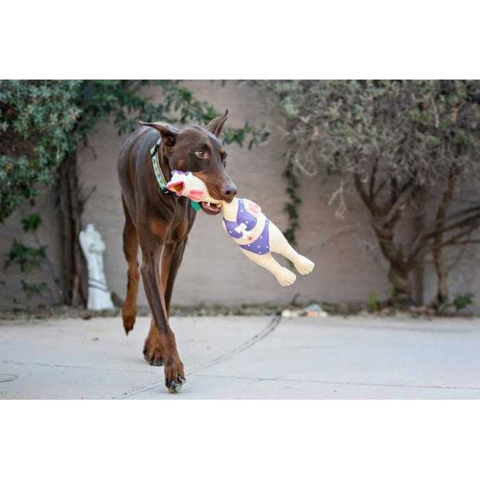 Alternative view of Charming Pet Squawkers Earl Dog Toy