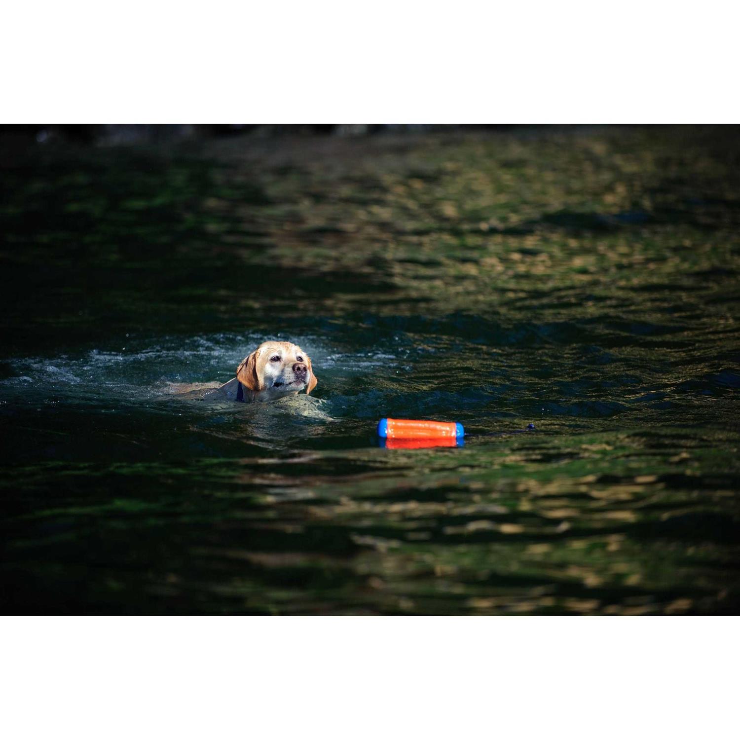 Alternative view of Chuckit! Amphibious Bumper Toy