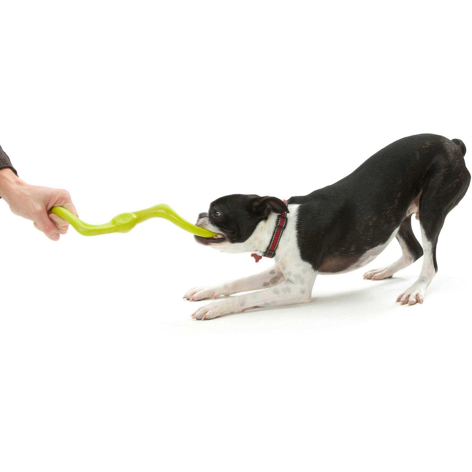 Alternative view of West Paw Bumi Dog Toy