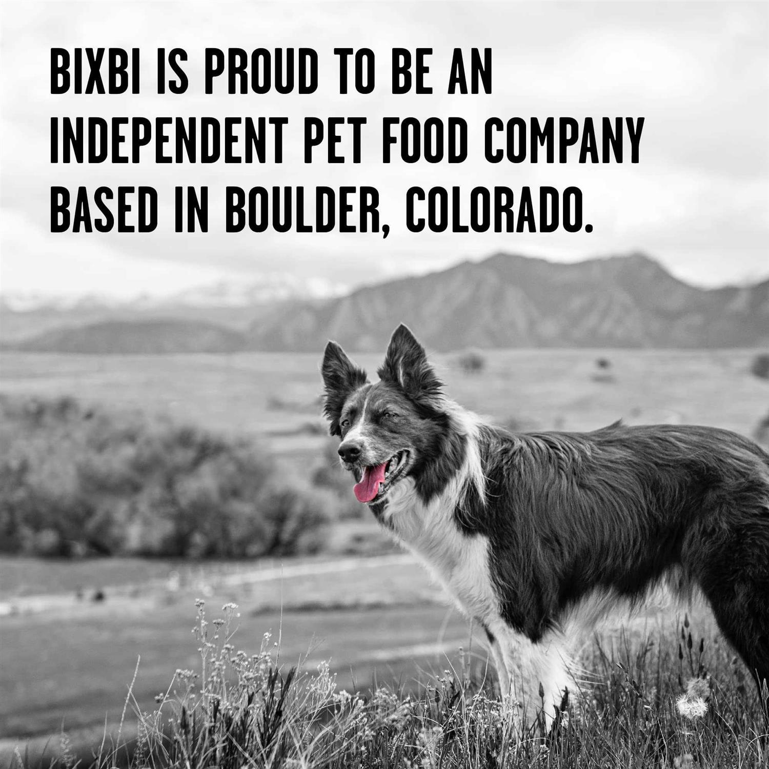 Alternative view of Bixbi Rawbble Dry Dog Food