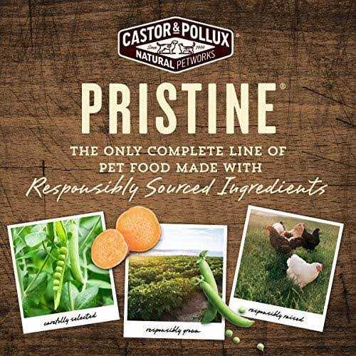 Alternative view of Castor & Pollux Pristine Beef Bone Broth