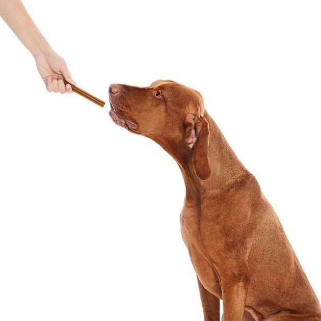 Alternative view of True Acre Foods All-Natural Dental Chew Sticks
