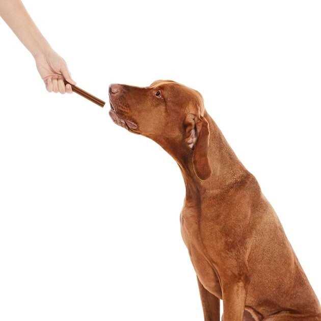 Alternative view of True Acre Foods All-Natural Dental Chew Sticks