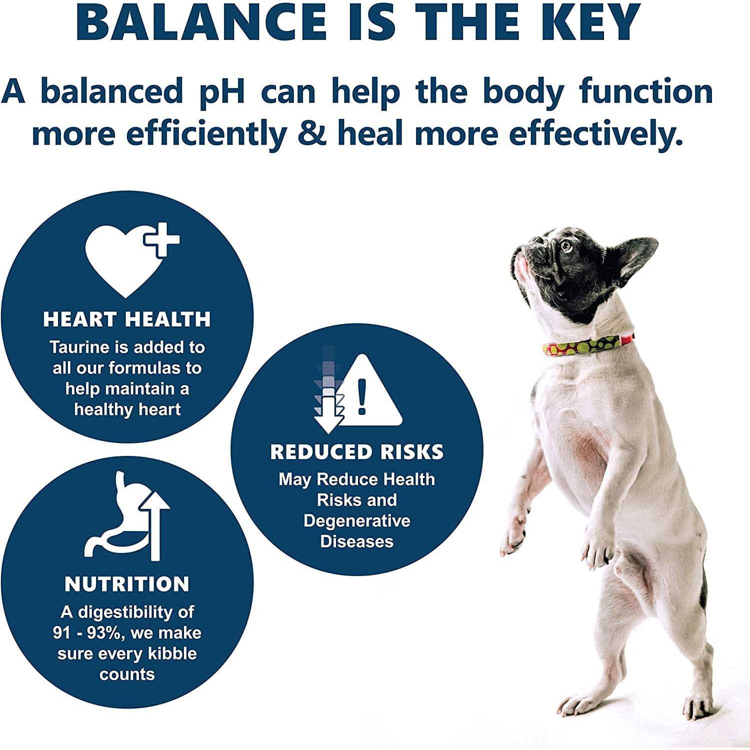 Alternative view of Canine Caviar Free Spirit Holistic Dry Dog Food