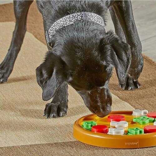 Alternative view of Brightkins Dog Pizza Treat Puzzle