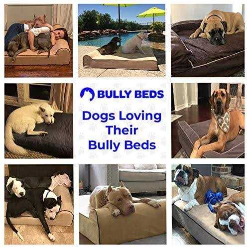 Alternative view of Bully Beds Bully Bed Orthopedic Waterproof Dog Beds
