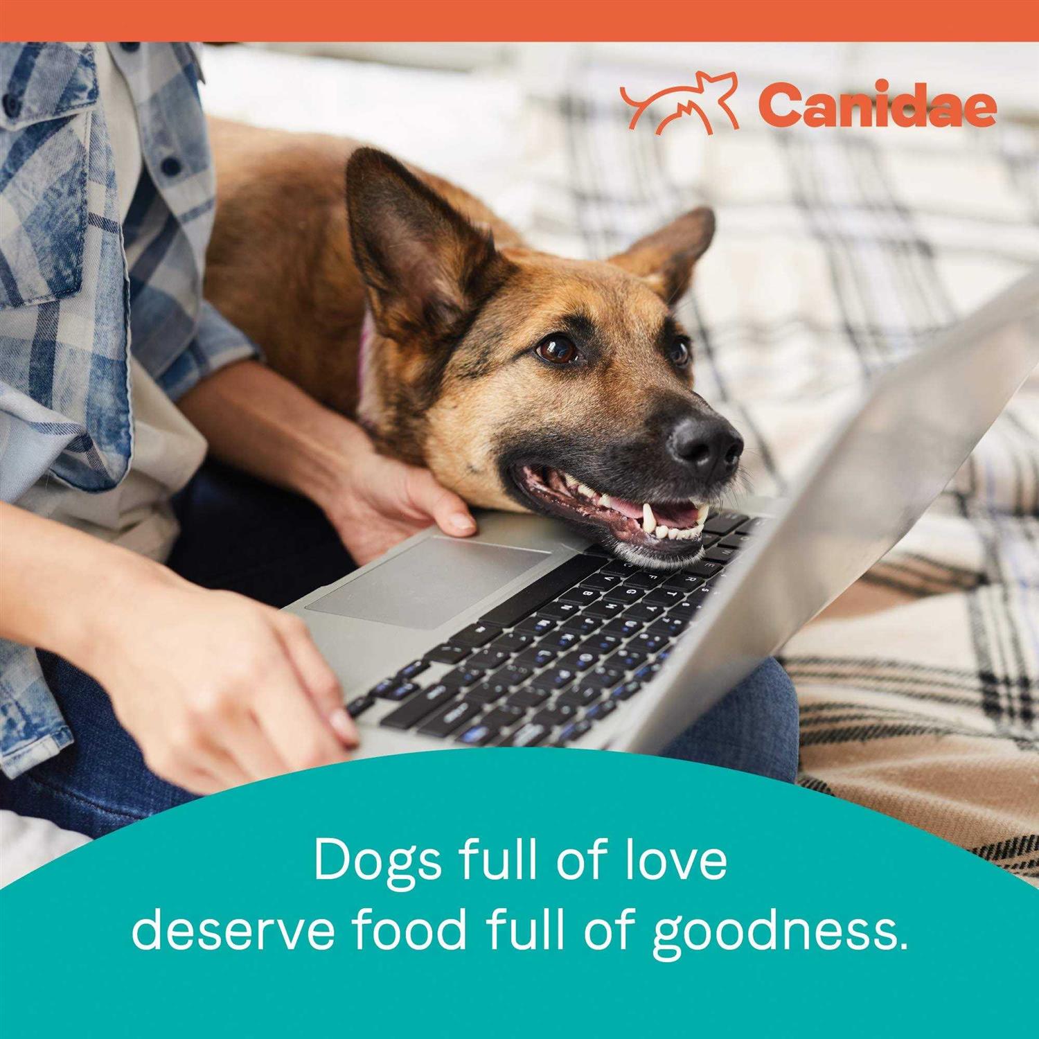 Alternative view of Canidae Pure Puppy Salmon & Oatmeal Dry Dog Food