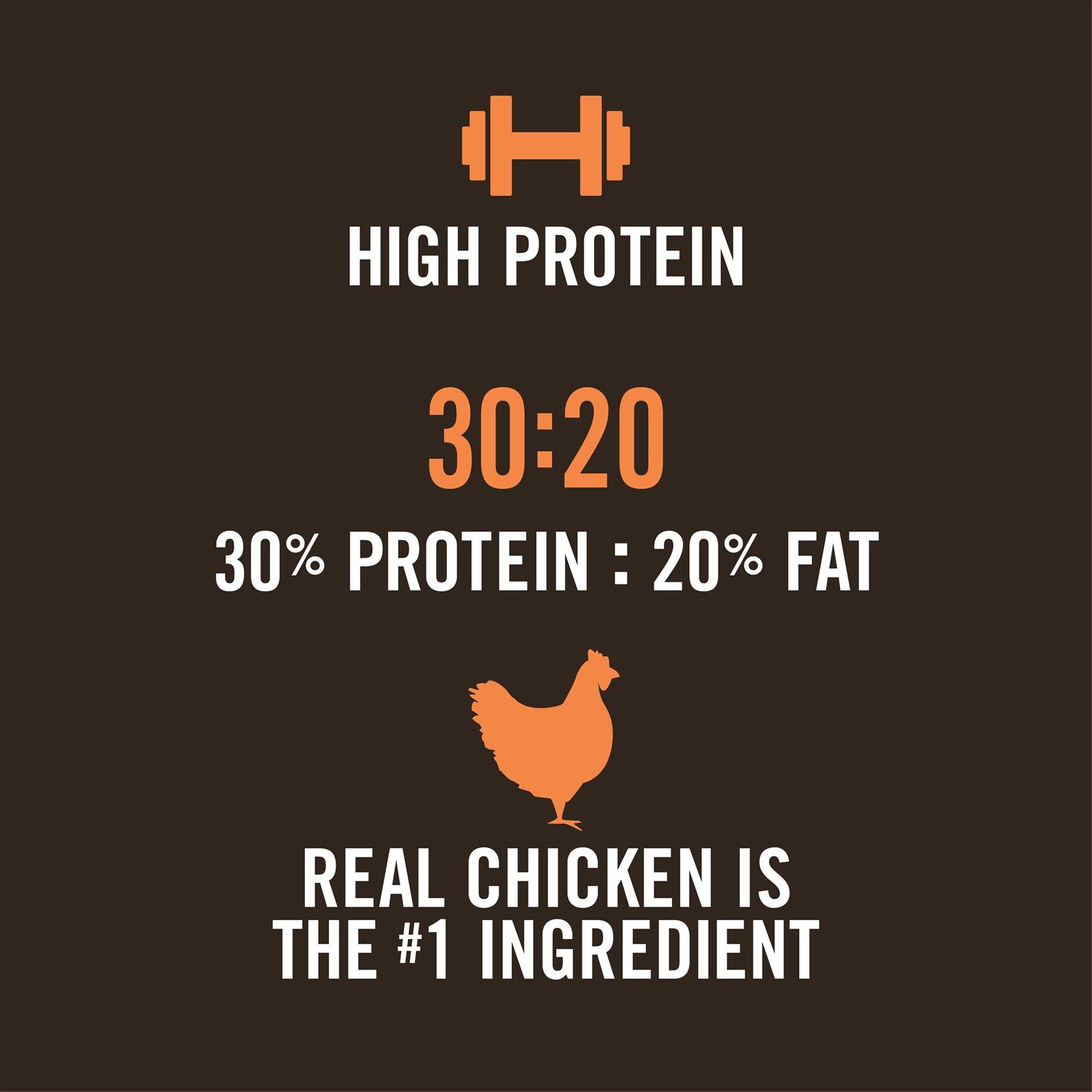 Alternative view of WholeHearted Active Performance High-Protein Chicken & Rice Recipe Dry Dog Food