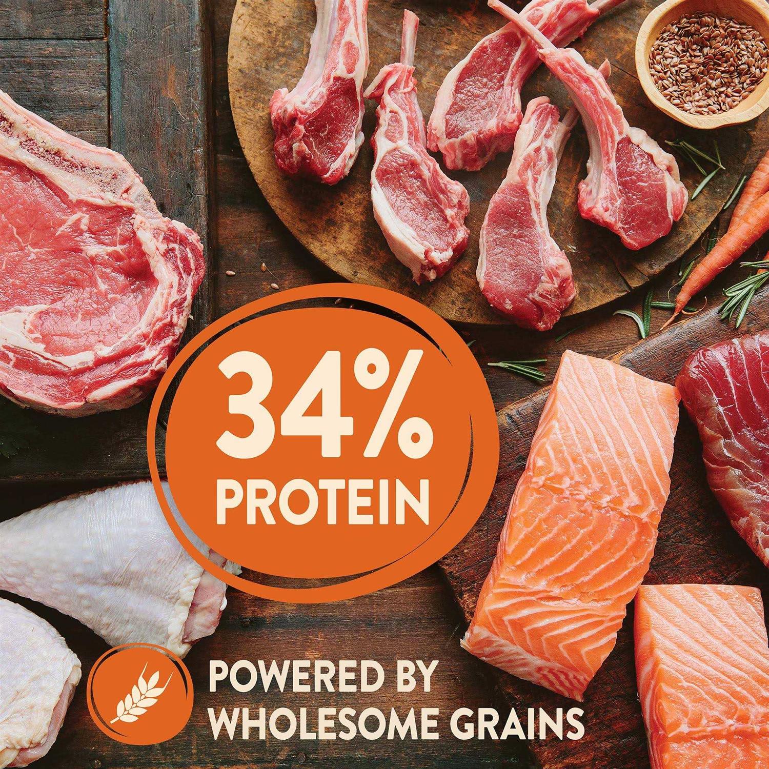 Alternative view of Wellness CORE High Protein Wholesome Grains Original Recipe Dry Dog Food