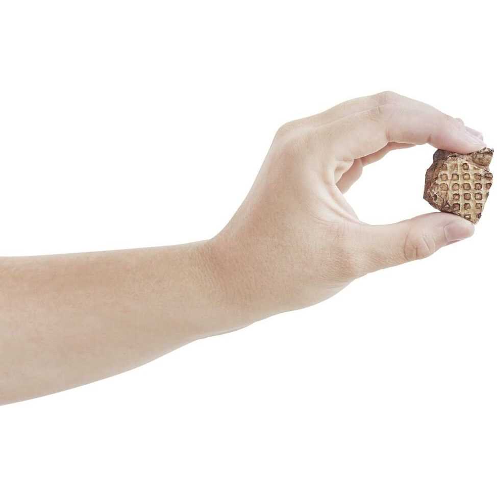 Alternative view of Bones & Chews All-Natural Beef Lung Filets Dehydrated Dog Treats