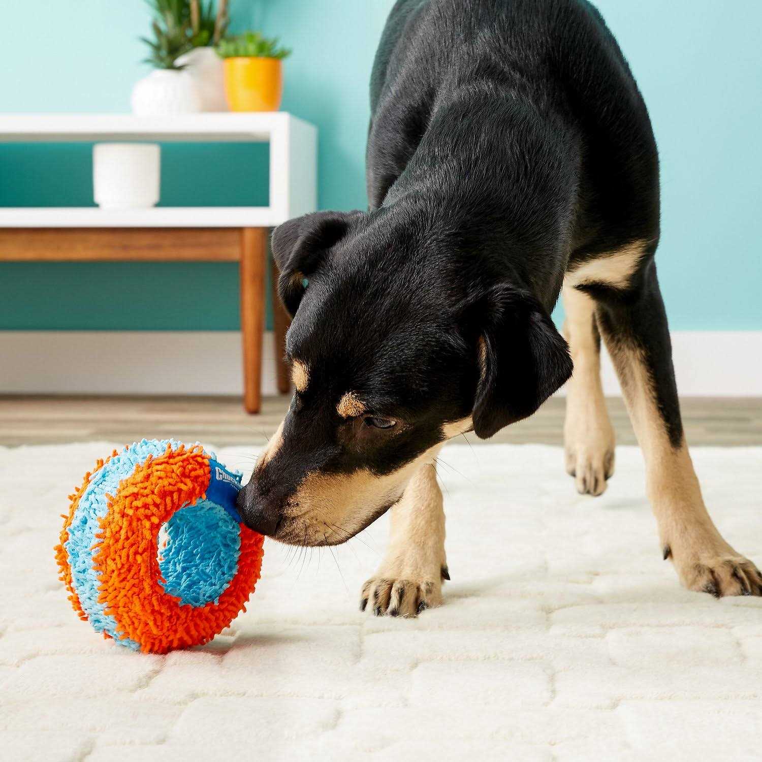 Alternative view of Chuckit! Indoor Roller Dog Toy, Orange/Blue