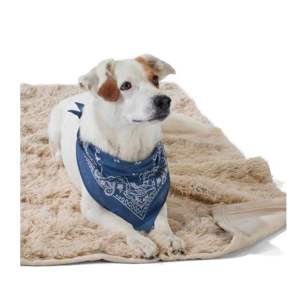 Alternative view of Tall Tails Dog Waterproof Blanket